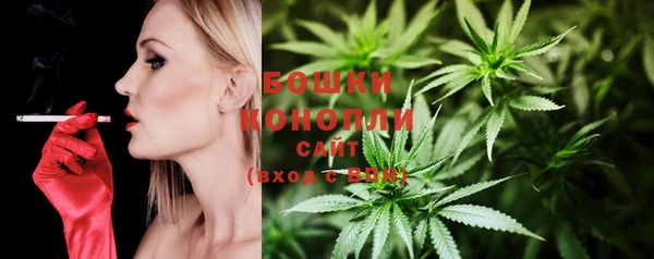 спиды Пестово