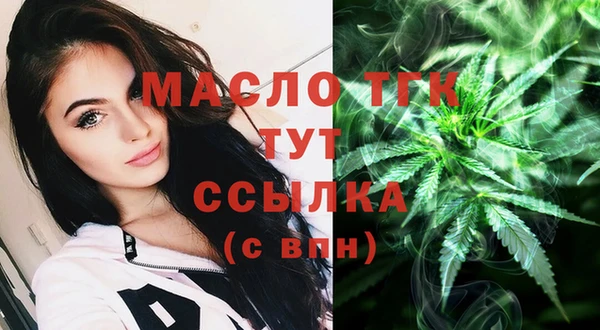 дживик Пересвет